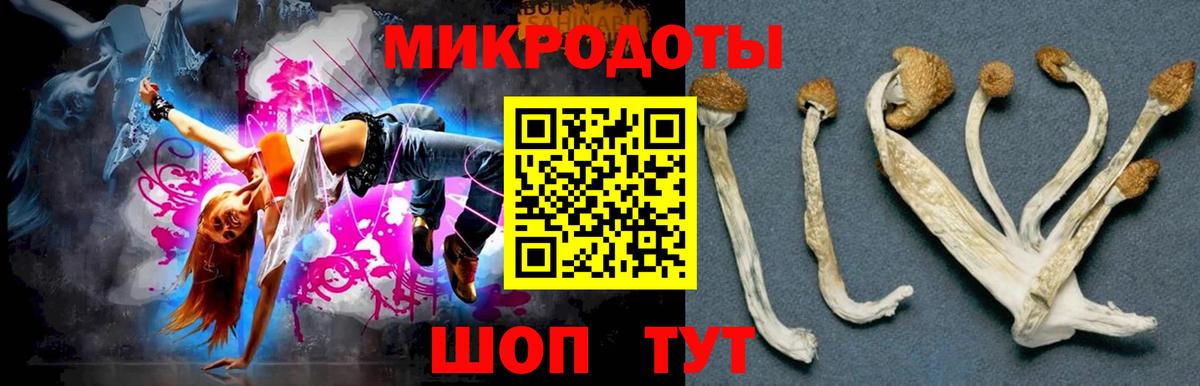Сергиев Посад  Галлюциногенные грибы мицелий  Вход с VPN 
